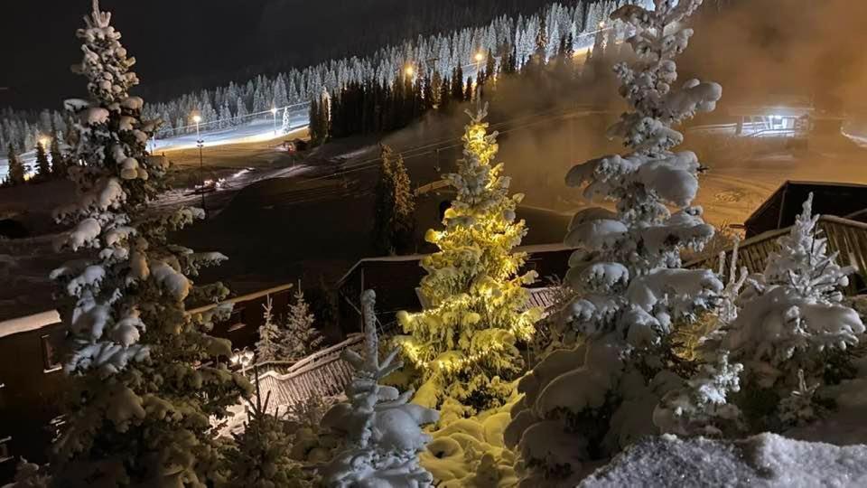Kvitfjell Alpinhytter Kvitfjellvegen 492 Kültér fotó