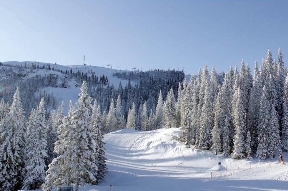 Kvitfjell Alpinhytter Kvitfjellvegen 492 Kültér fotó